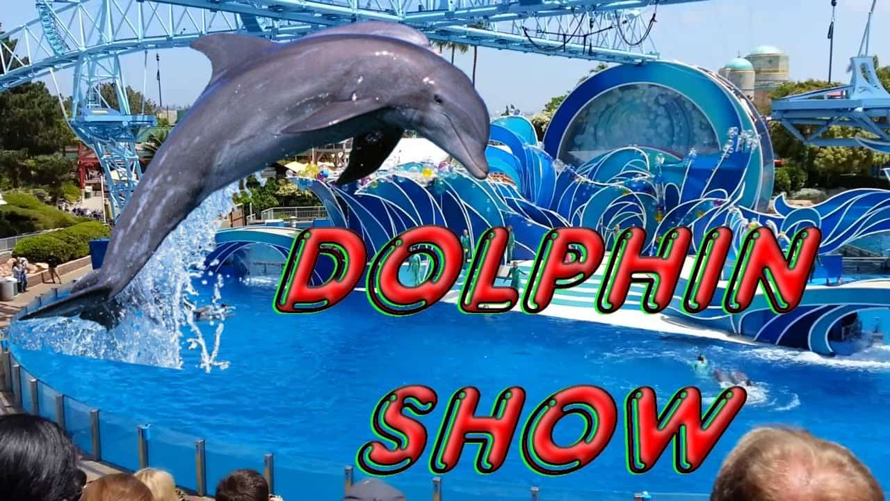 Шоу дельфинов в Бодруме Воздушный шар