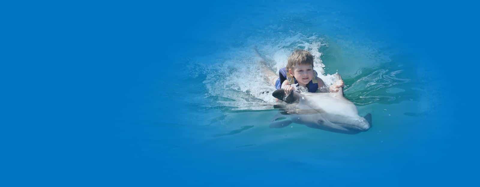 Плавание с Дельфинами в Сиде Парашют