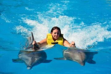 Плавание с дельфинами в Анталии