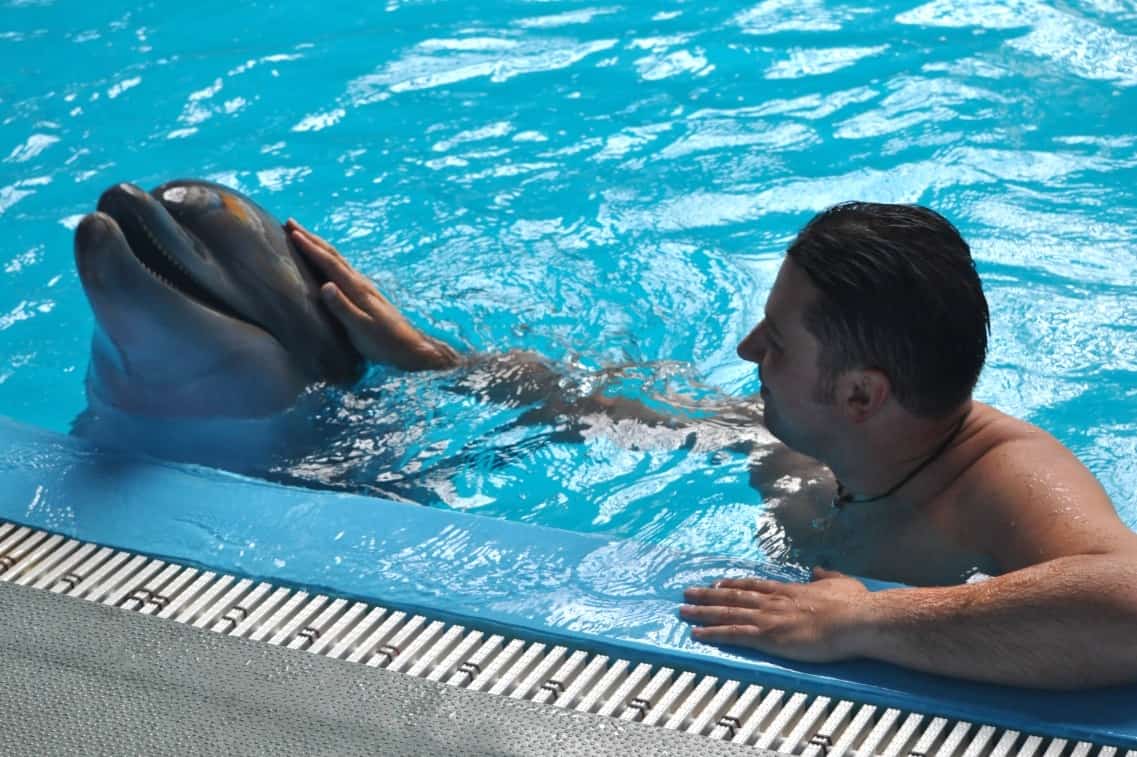 Плавание с Дельфинами в Сиде Турция