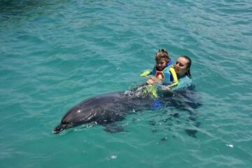 Плавание с Дельфинами в Кемере