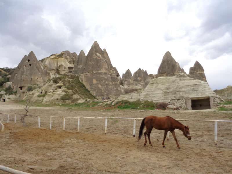 Верховая езда в Каппадокии цены на туры